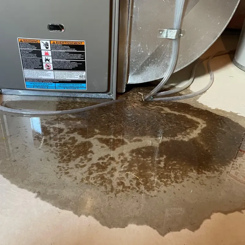 Appliance Leak Cleanup in Dobson, NC